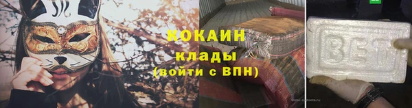 индика Сосновка