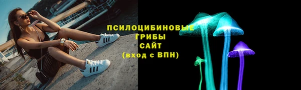 сатива Алексеевка