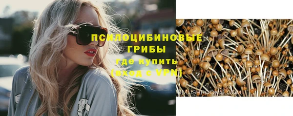 прущие крисы Алзамай