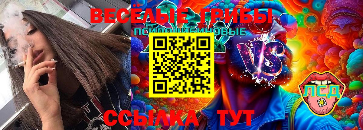 Тамбов  Галлюциногенные грибы Psilocybine cubensis  Вход с VPN 